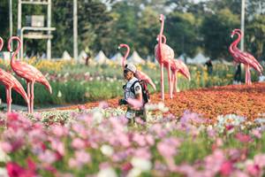 BIB: 
                            <button type="button" onclick="openModal(27344135)" class="btn btn-primary btn-sm float-right btn-popup" data-toggle="modal" data-target=".modal-high-quality">
                        <i class="fas fa-shopping-cart"></i> Add to Cart
                    </button>
                                            <button type="button" onclick="isThisMe(27344135, true)" class="btn btn-success btn-sm float-right btn-popup btn-isme hidden" data-toggle="tooltip" data-placement="bottom" title="นี่คือรูปของคุณใช่ไหม คลิกที่นี่เพื่อเอาเข้าอัลบั้ม">
                        <i class="fas fa-plus"></i> Add to album
                    </button>
                    <button type="button" onclick="isThisMe(27344135, false)" class="btn btn-warning btn-sm float-right btn-popup btn-isnotme hidden">
                        <i class="fas fa-ban"></i> Remove from album
                    </button>